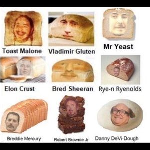 Meet your Posher, Izzy